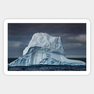 Iceberg I Sticker